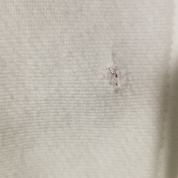 Splendid Cropped Floral Sweatshirt - Picture 3 of 6